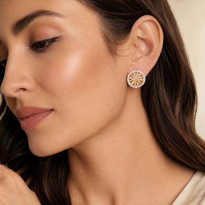 Elegant Earrings